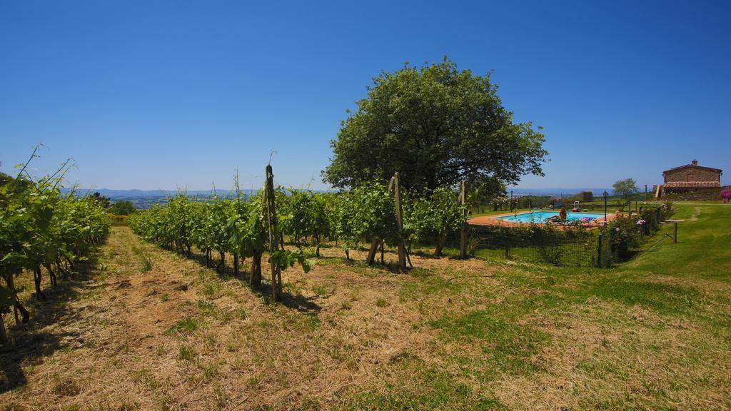 Tenuta Angelici Winery Casa Contea With Pool And Panoramic Pool Cortona Villa Terontola Стая снимка